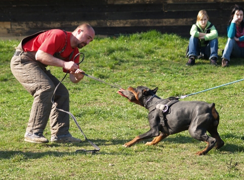 Santa Julf Efrat - training 26. 3. 2007